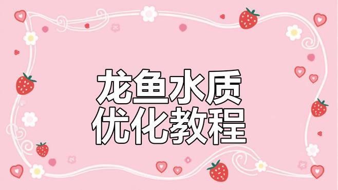 如何維持雪龍魚的水質穩定：養龍魚必看:水質管理全攻略