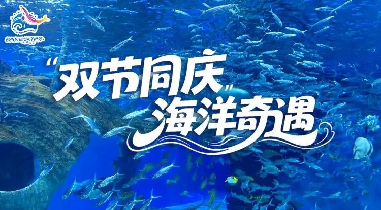 贛州哪個水族館龍魚好？祥龍魚場龍魚：贛州極地海洋世界海洋世界游玩攻略-攜程攻略 贛州哪個水族館龍魚好？祥龍魚場龍魚：贛州極地海洋世界海洋世界游玩攻略-攜程攻略 龍魚百科 第13張
