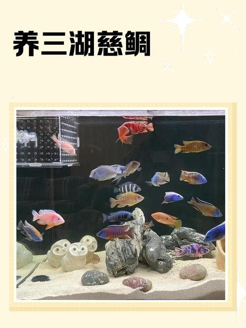 混養圖片高清版：關于混養的高清圖片資源及相關信息