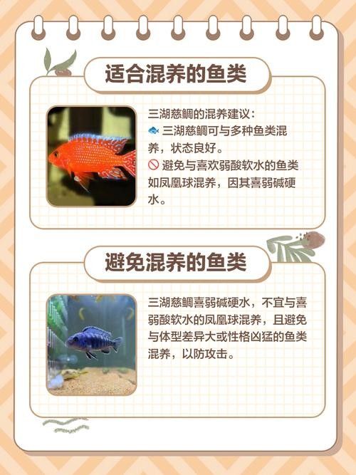 混養圖片高清版：關于混養的高清圖片資源及相關信息