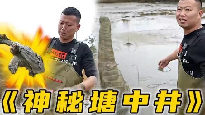 混養圖片高清版：關于混養的高清圖片資源及相關信息