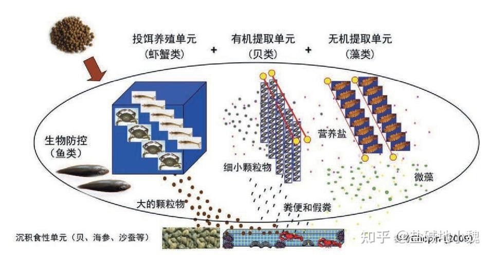混養圖片高清版：關于混養的高清圖片資源及相關信息
