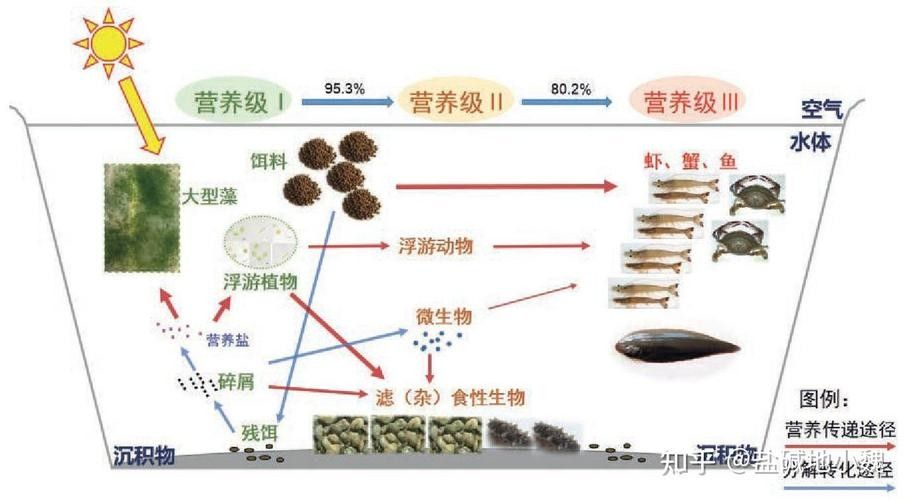 混養圖片高清版：關于混養的高清圖片資源及相關信息