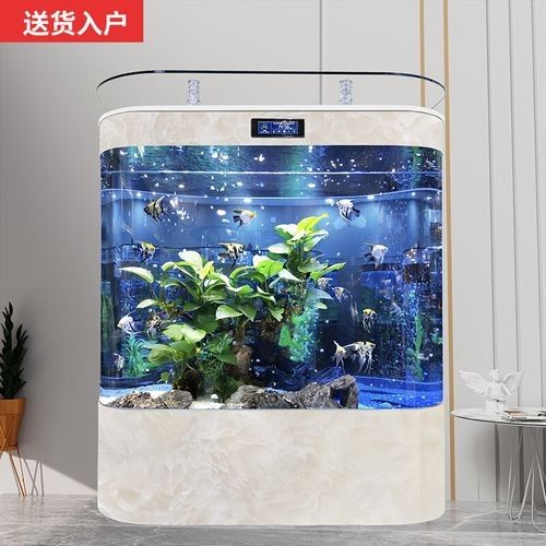 有哪些品牌金龍魚缸背景值得推薦？：金龍魚缸哪個牌子好 有哪些品牌金龍魚缸背景值得推薦？：金龍魚缸哪個牌子好 龍魚百科 第6張