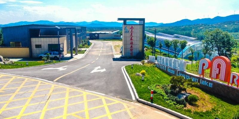 鄒城哪個水族館龍魚好？祥龍魚場龍魚：山東省鄒城市祥龍魚場龍魚種類繁多 鄒城哪個水族館龍魚好？祥龍魚場龍魚：山東省鄒城市祥龍魚場龍魚種類繁多 龍魚百科 第6張