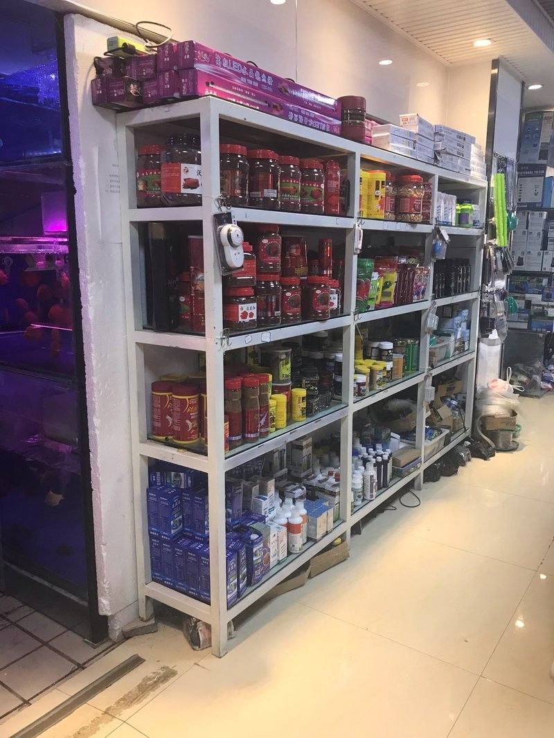 青島龍魚專賣店哪家口碑最好：青島紅盛水族中心龍魚專賣店的口碑評價是消費者在選擇購買