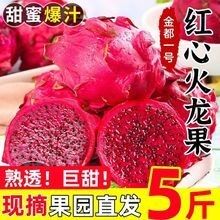 紅心火龍果的價格是多少：紅心火龍果和白心火龍果哪個更有營養紅心火龍果價格行情走勢