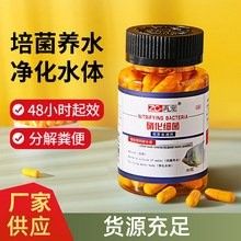 龍魚專用藥物價格范圍：魚專用藥物價格因品牌、規格和購買地點的不同而有所差異