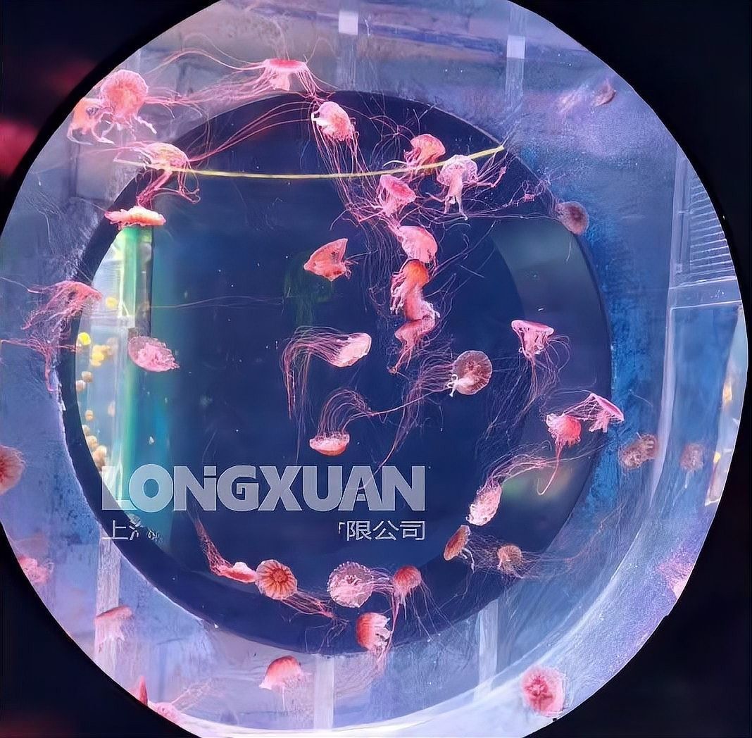 魚缸背景更換步驟：如何更換魚缸背景？ 魚缸背景更換步驟：如何更換魚缸背景？ 龍魚百科 第3張