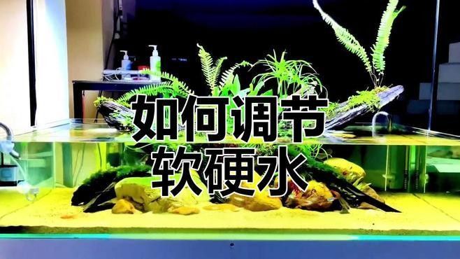 如何調整魚缸的pH值至理想范圍：如何調整魚缸ph值 如何調整魚缸的pH值至理想范圍：如何調整魚缸ph值 龍魚百科 第3張
