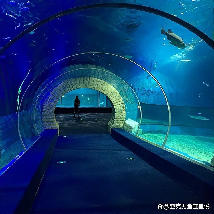 如何調整魚缸的pH值至理想范圍：如何調整魚缸ph值 如何調整魚缸的pH值至理想范圍：如何調整魚缸ph值 龍魚百科 第6張