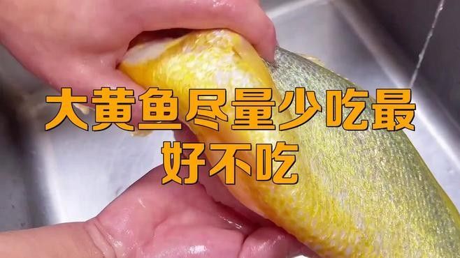 如何區分黃花魚和大黃魚：小朋美食圈，黃花魚和黃魚有什么區別