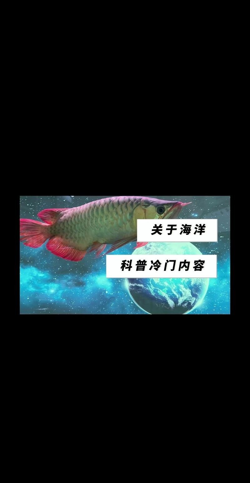 哪種龍魚是最稀有的：哪種龍魚最稀有？ 哪種龍魚是最稀有的：哪種龍魚最稀有？ 龍魚百科 第5張