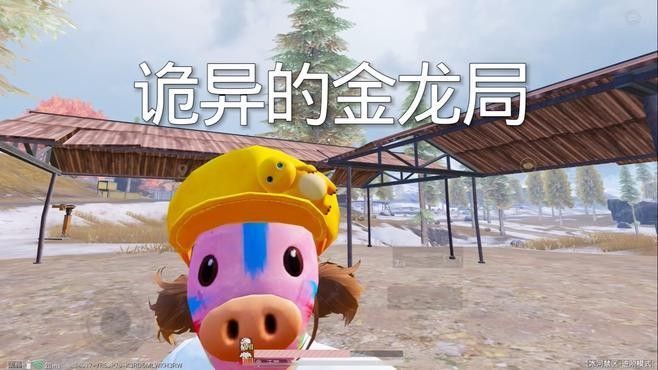 金龍幣的收藏價值如何評估：金龍幣的收藏價值
