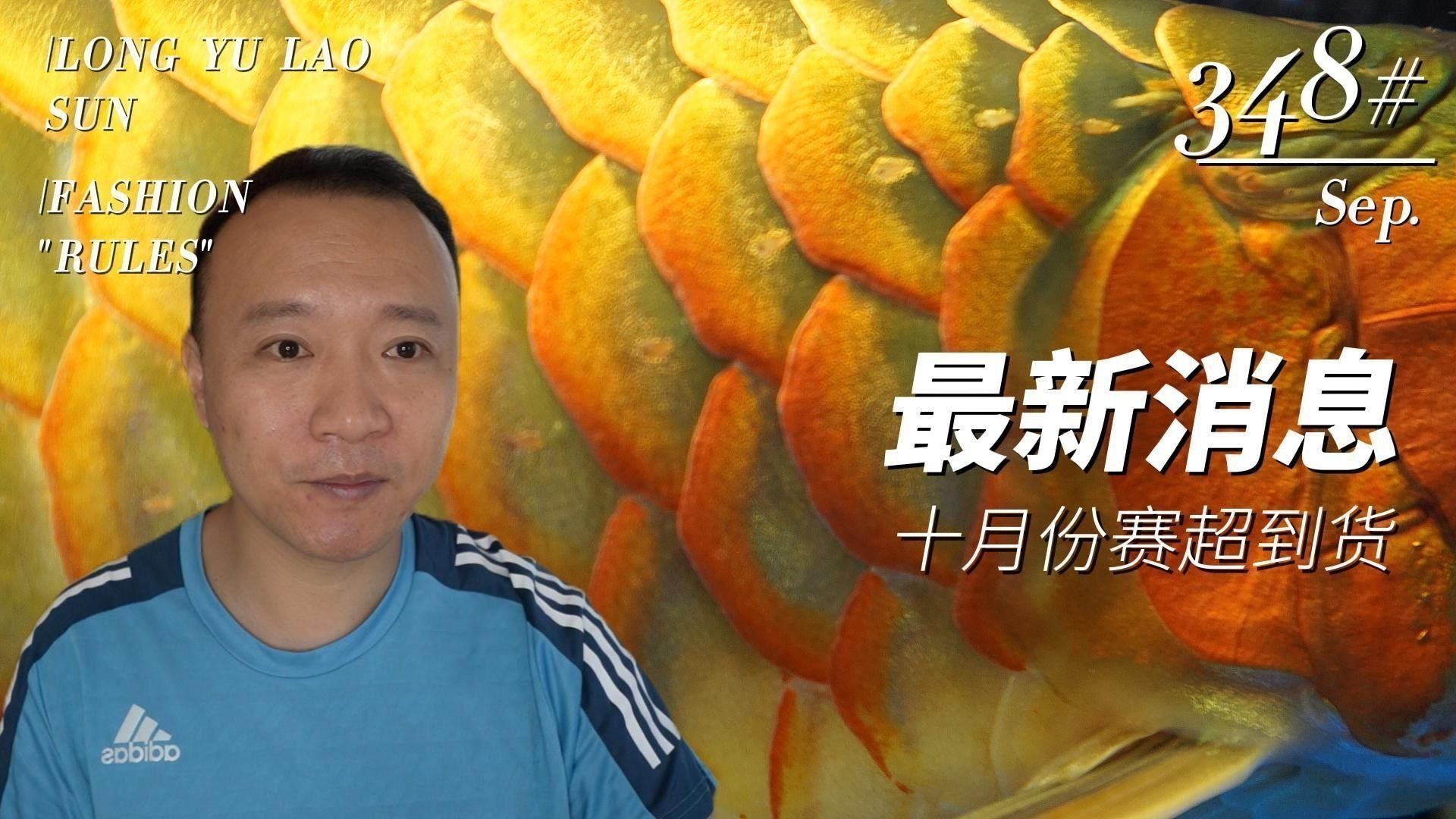 和興龍魚有哪些品牌：和興龍魚石家莊加盟店