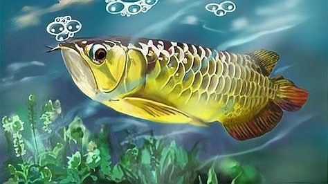 東南亞龍魚的價格是多少？：20-30公分龍魚飼養技巧與注意事項