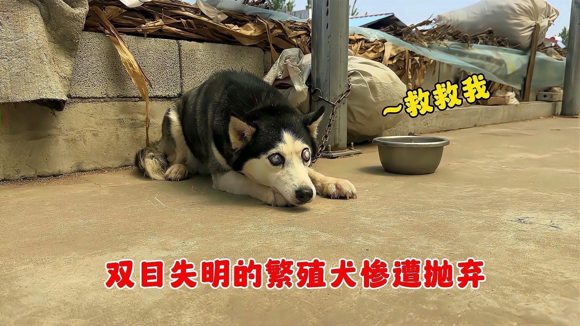單眼外凸癥狀如何早期發現：單眼外凸癥狀通常指的是眼球向外突出，可能是由于多種原因引起的