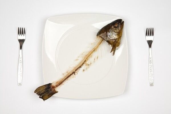 龍魚鰭上的白色絮狀物會傳染嗎？：龍魚身上有白色絮狀物怎么治 龍魚鰭上的白色絮狀物會傳染嗎？：龍魚身上有白色絮狀物怎么治 龍魚百科 第7張