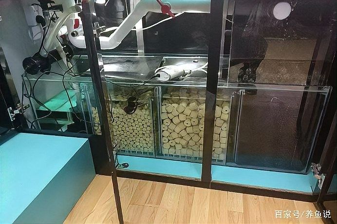龍魚缸濾材擺放順序：養魚說,魚缸里的濾材擺放順序,你擺正確了嗎 龍魚缸濾材擺放順序：養魚說,魚缸里的濾材擺放順序,你擺正確了嗎 龍魚百科 第7張