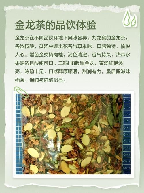 如何沖泡金龍系列茶葉？：沖泡金龍系列茶葉的基本步驟