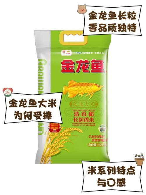 金龍魚長(zhǎng)粒香米5kg的價(jià)格是多少？：金龍魚長(zhǎng)粒香米5kg哪個(gè)渠道購(gòu)買最劃算