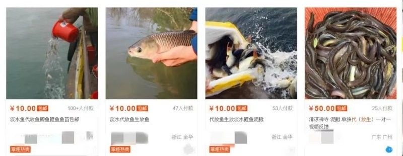 龍魚放生需要多少錢：放生龍魚需要多少錢？ 龍魚放生需要多少錢：放生龍魚需要多少錢？ 龍魚百科 第3張