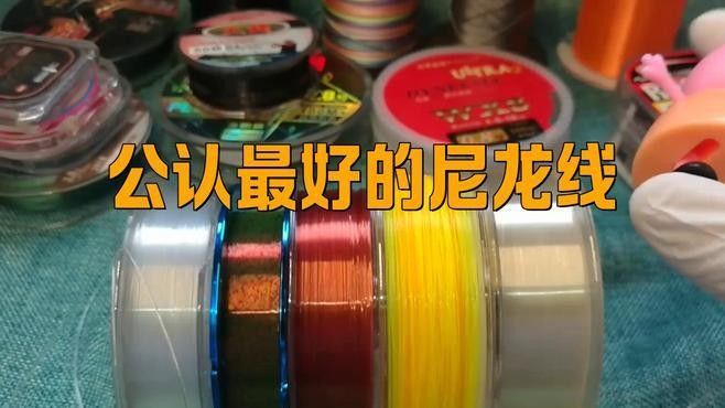 達億瓦和東麗哪個更好：達億瓦和東麗哪個更好？