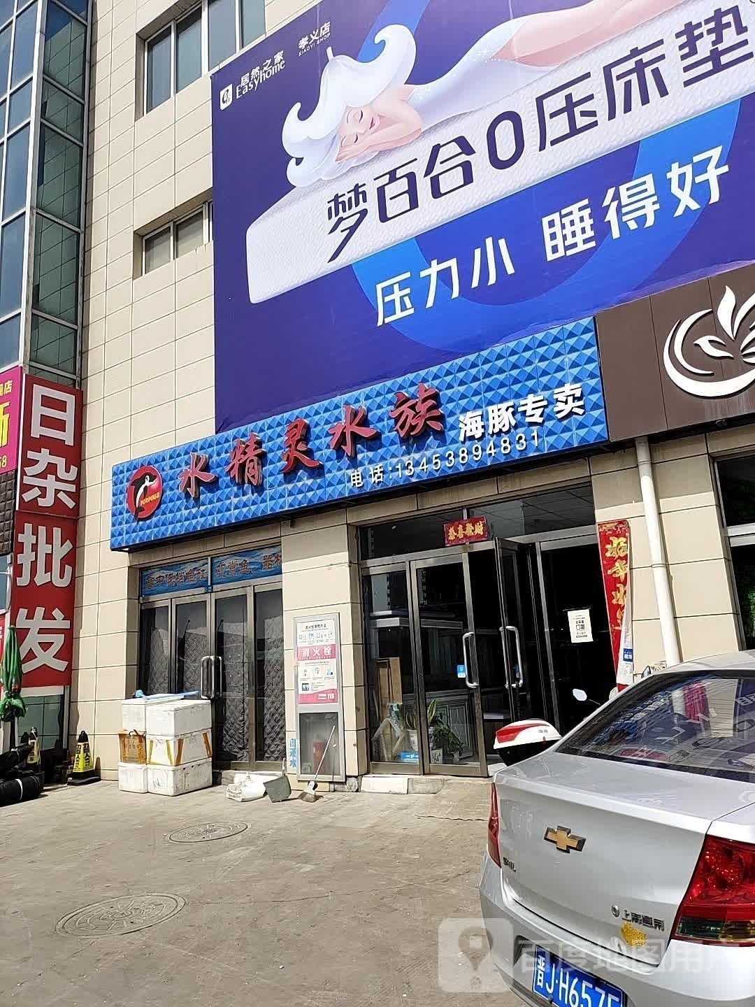 孝義哪個水族館龍魚好？祥龍魚場龍魚：孝義市水族館——祥龍魚場 孝義哪個水族館龍魚好？祥龍魚場龍魚：孝義市水族館——祥龍魚場 龍魚百科 第1張