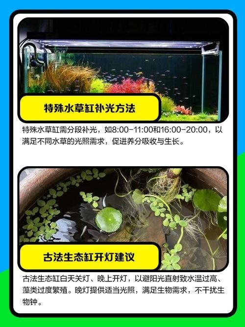 金龍魚缸的光照時間如何調整：如何調整金龍魚缸光照時間 金龍魚缸的光照時間如何調整：如何調整金龍魚缸光照時間 龍魚百科 第3張