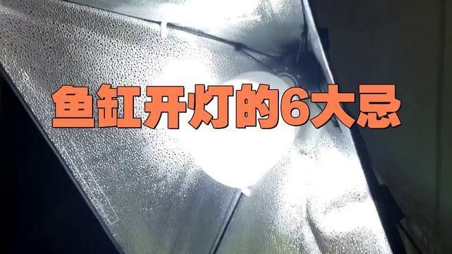 金龍魚缸的光照時間如何調整：如何調整金龍魚缸光照時間 金龍魚缸的光照時間如何調整：如何調整金龍魚缸光照時間 龍魚百科 第2張