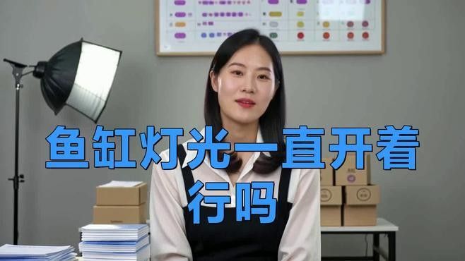 金龍魚缸的光照時間如何調整：如何調整金龍魚缸光照時間 金龍魚缸的光照時間如何調整：如何調整金龍魚缸光照時間 龍魚百科 第10張