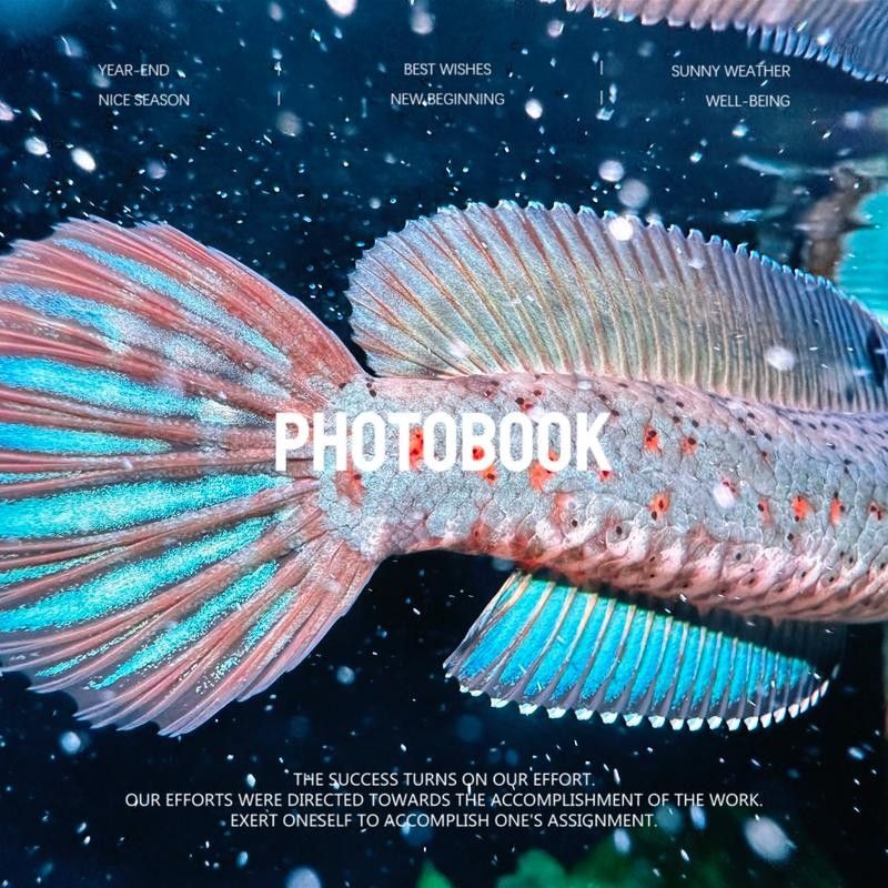 給我推薦一些幻紅雷龍魚混養案例：幻紅雷龍魚與其他魚類混養