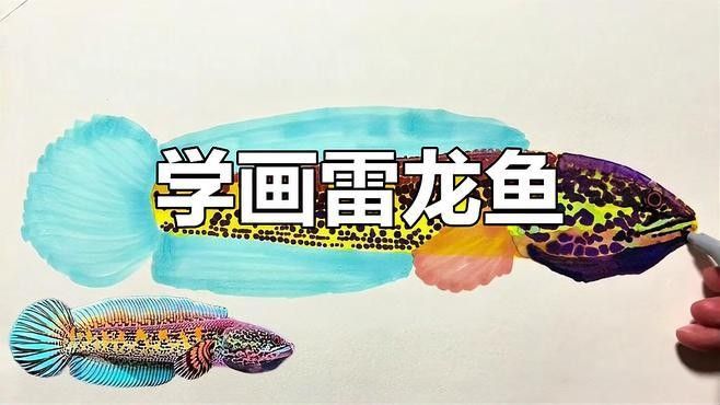 雷龍魚圖畫有哪些風格：雷龍魚圖畫風格