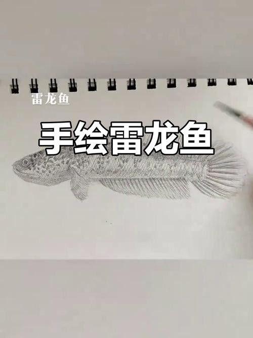 雷龍魚圖畫有哪些風格：雷龍魚圖畫風格