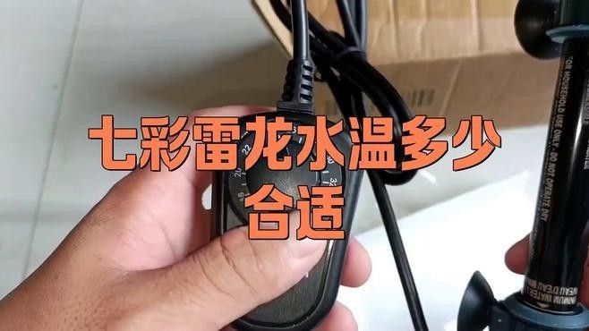 雷龍魚的最佳水溫是多少：雷龍魚的最佳水溫范圍及飼養建議 雷龍魚的最佳水溫是多少：雷龍魚的最佳水溫范圍及飼養建議 龍魚百科 第2張