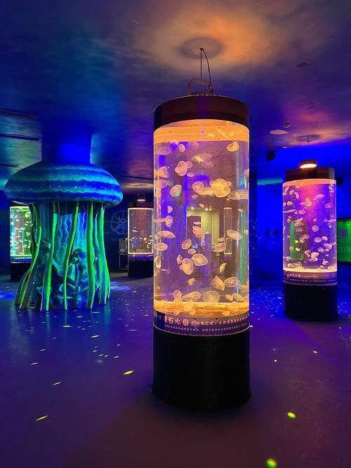鵬興水族館提供哪些服務？（惠州市惠城區鵬興水族館）