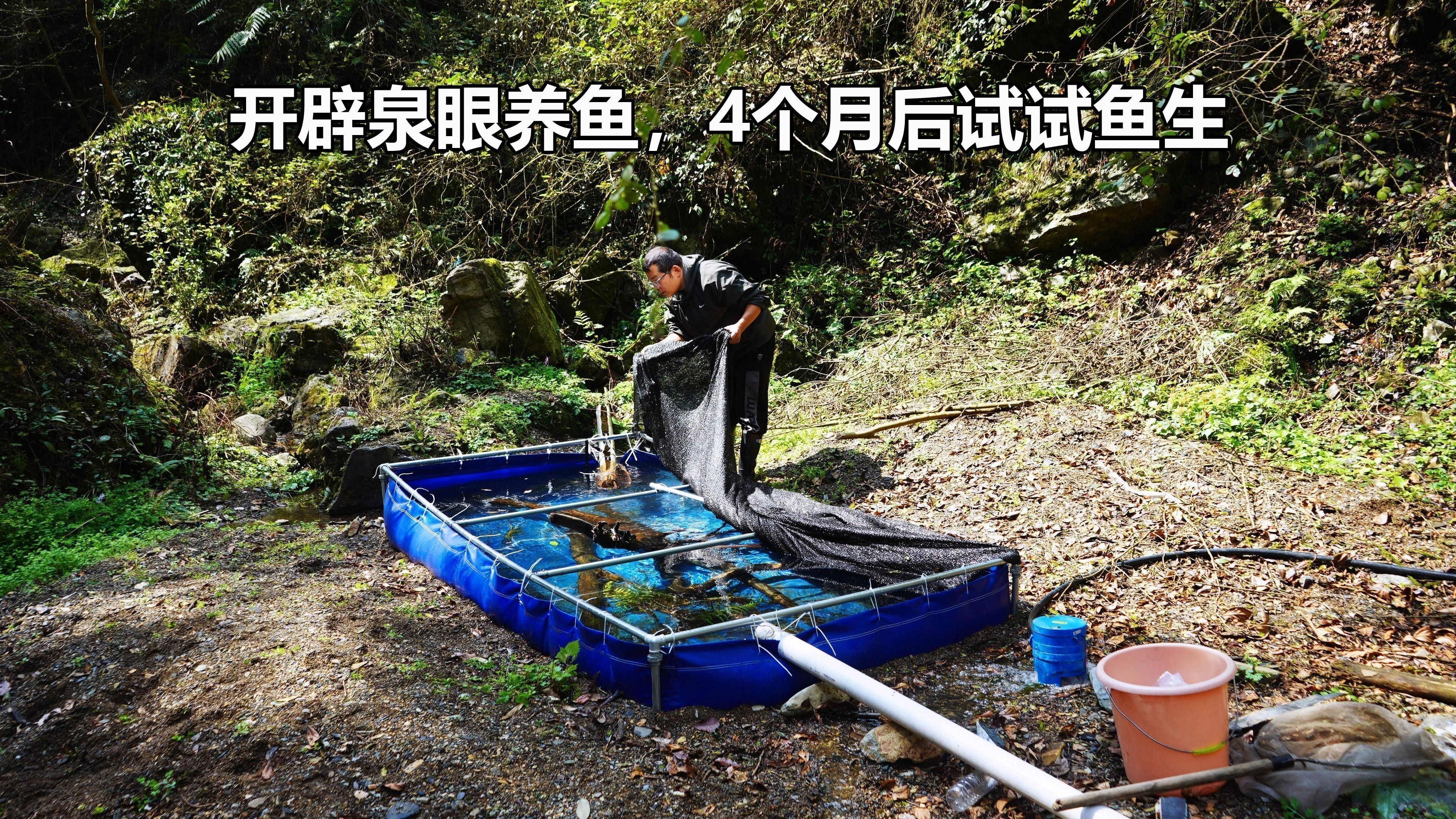 如何處理活餌以防止寄生蟲(chóng)感染（如何正確處理活餌以防止寄生蟲(chóng)感染） 如何處理活餌以防止寄生蟲(chóng)感染（如何正確處理活餌以防止寄生蟲(chóng)感染） 龍魚(yú)百科
