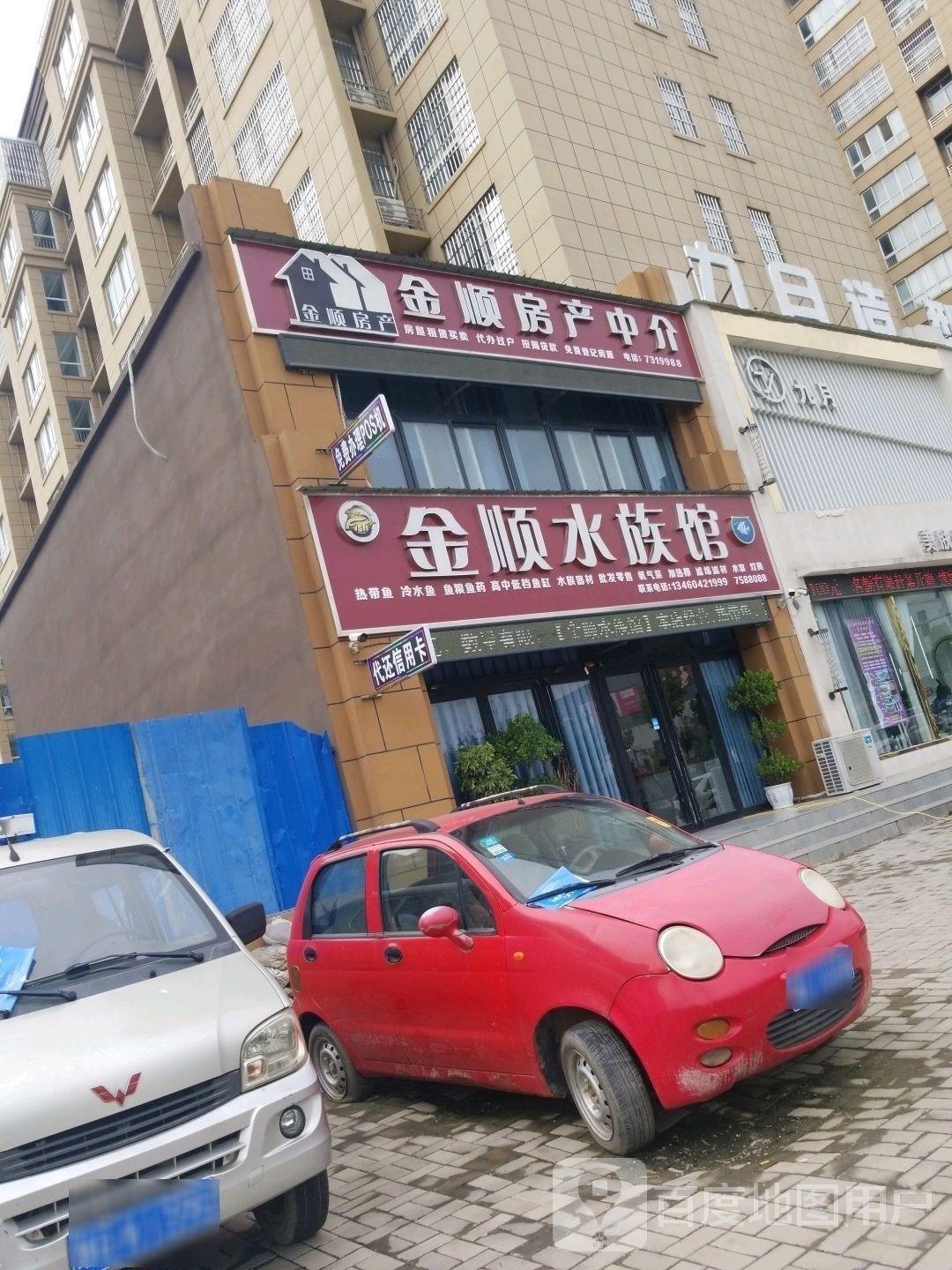 原陽哪個水族館龍魚好？祥龍魚場龍魚（原陽祥龍魚場）