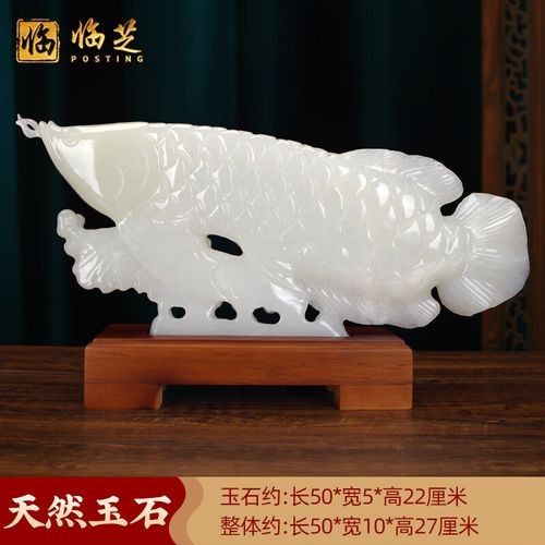 給我推薦一些50公分金龍魚擺件（50公分左右的金龍魚擺件）