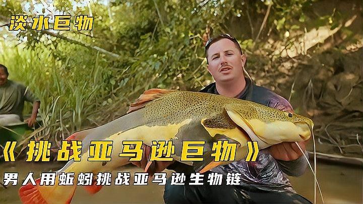 鐵甲武士魚有哪些品種？（水族圈常見的鐵甲武士魚，看著生猛，實則呆萌嘩仔）