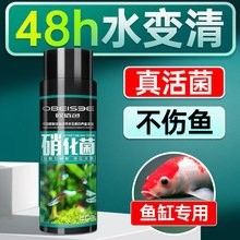 龍魚處方藥的價格范圍是多少？（龍魚處方藥價格范圍）