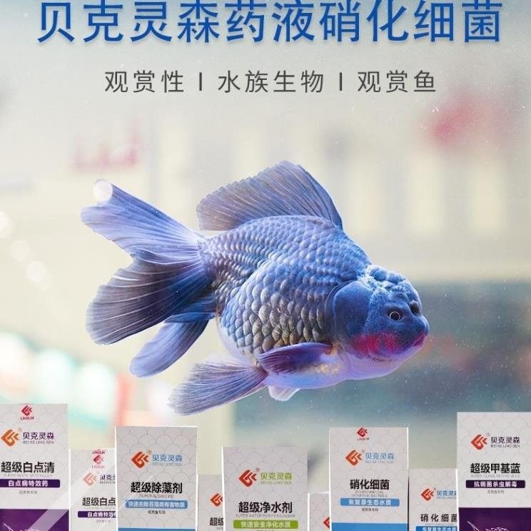 龍魚處方藥的價格范圍是多少？（龍魚處方藥價格范圍）