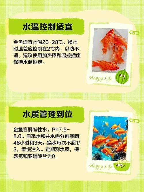 金龍魚珠鱗全亮后如何養護？（金龍魚珠鱗全亮后的關鍵是維持適宜的水質、溫度和營養水平）