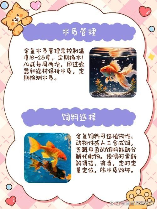 金龍魚珠鱗全亮后如何養護？（金龍魚珠鱗全亮后的關鍵是維持適宜的水質、溫度和營養水平）