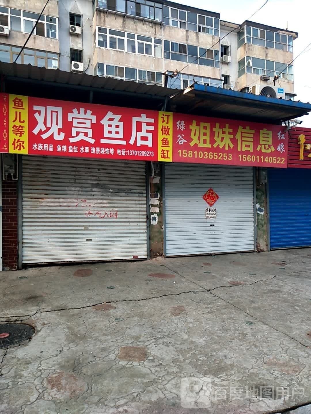 北京有哪些觀賞魚店（北京海洋世界5.0北京海洋世界觀賞魚店推薦）