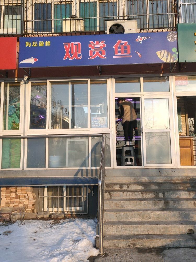 北京有哪些觀賞魚店（北京海洋世界5.0北京海洋世界觀賞魚店推薦）