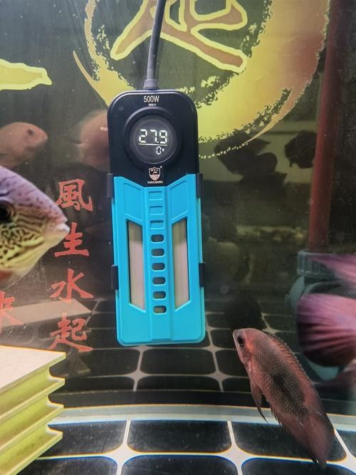 推薦幾款適合龍魚缸的加熱棒品牌(魚缸加熱棒品牌怎么選) 龍魚百科 第3張 推薦幾款適合龍魚缸的加熱棒品牌(魚缸加熱棒品牌怎么選) 推薦幾款適合龍魚缸的加熱棒品牌(魚缸加熱棒品牌怎么選) 龍魚百科 第3張