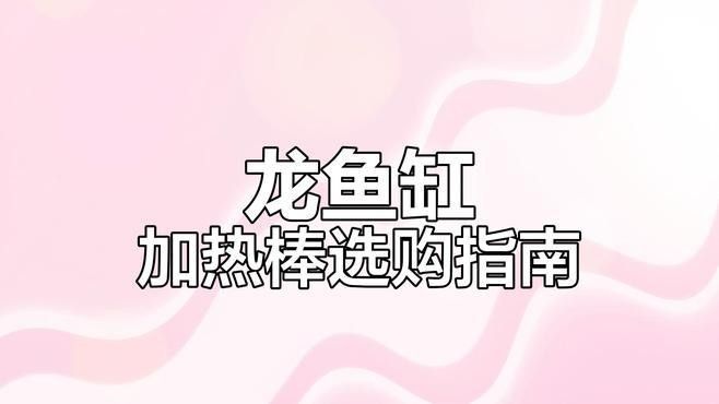 推薦幾款適合龍魚缸的加熱棒品牌（魚缸加熱棒品牌怎么選） 推薦幾款適合龍魚缸的加熱棒品牌（魚缸加熱棒品牌怎么選） 龍魚百科 第7張