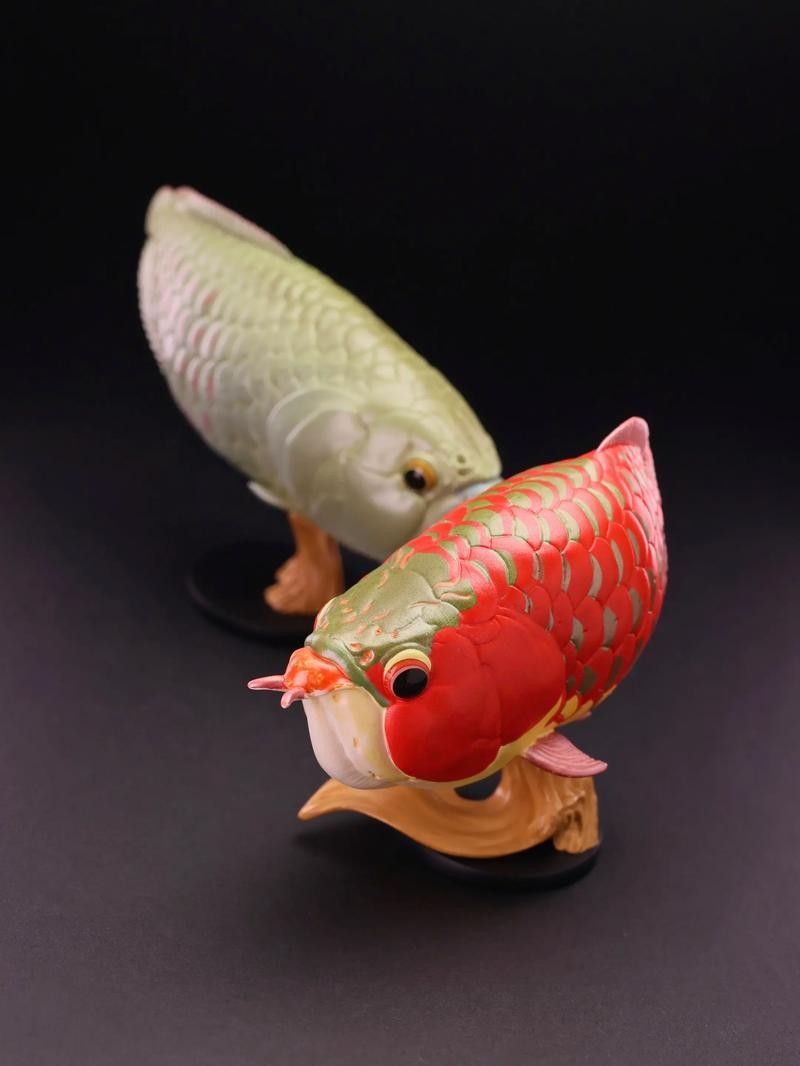 給我一些虎皮恐龍魚的圖片（廣東男子釣獲“遠古恐龍魚”背鰭銳利似劍龍網友:值好幾百） 給我一些虎皮恐龍魚的圖片（廣東男子釣獲“遠古恐龍魚”背鰭銳利似劍龍網友:值好幾百） 龍魚百科 第12張