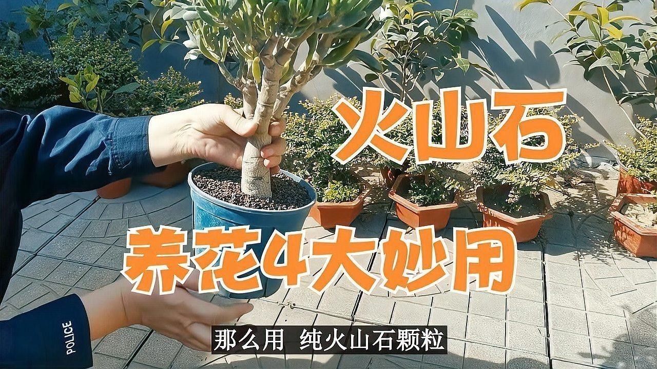 火山石有哪些用途？（火山石的功效與作用）